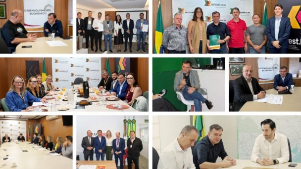 mosaico de fotos das agendas da semana