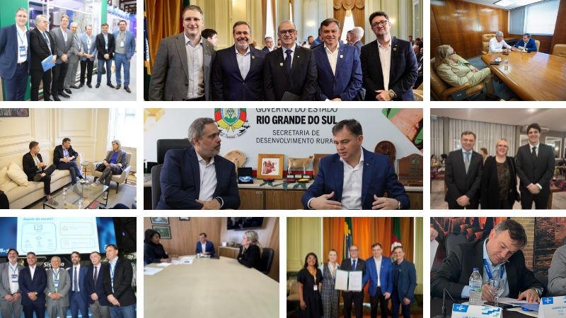 mosaico de imagens das agendas da semana